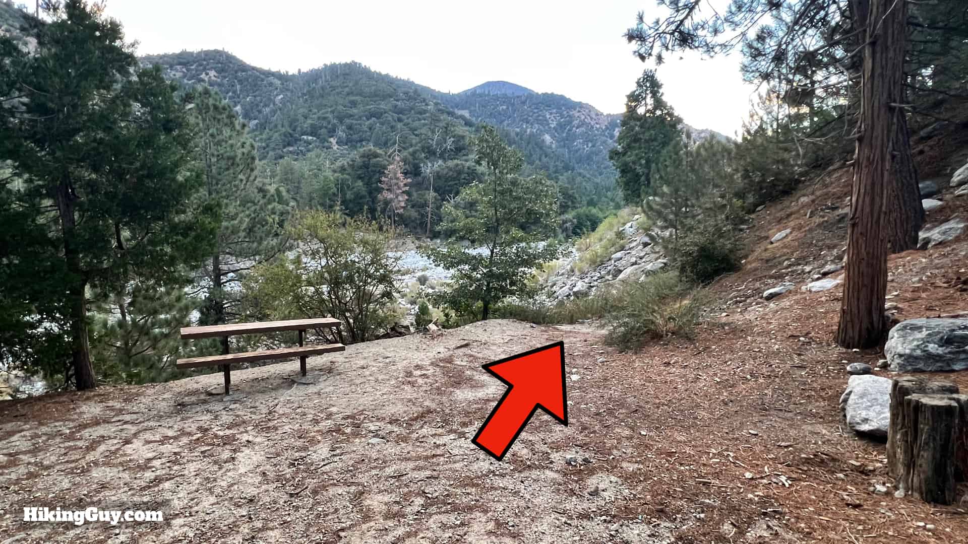 Momyer Creek Trail To Dobbs Cabin 5