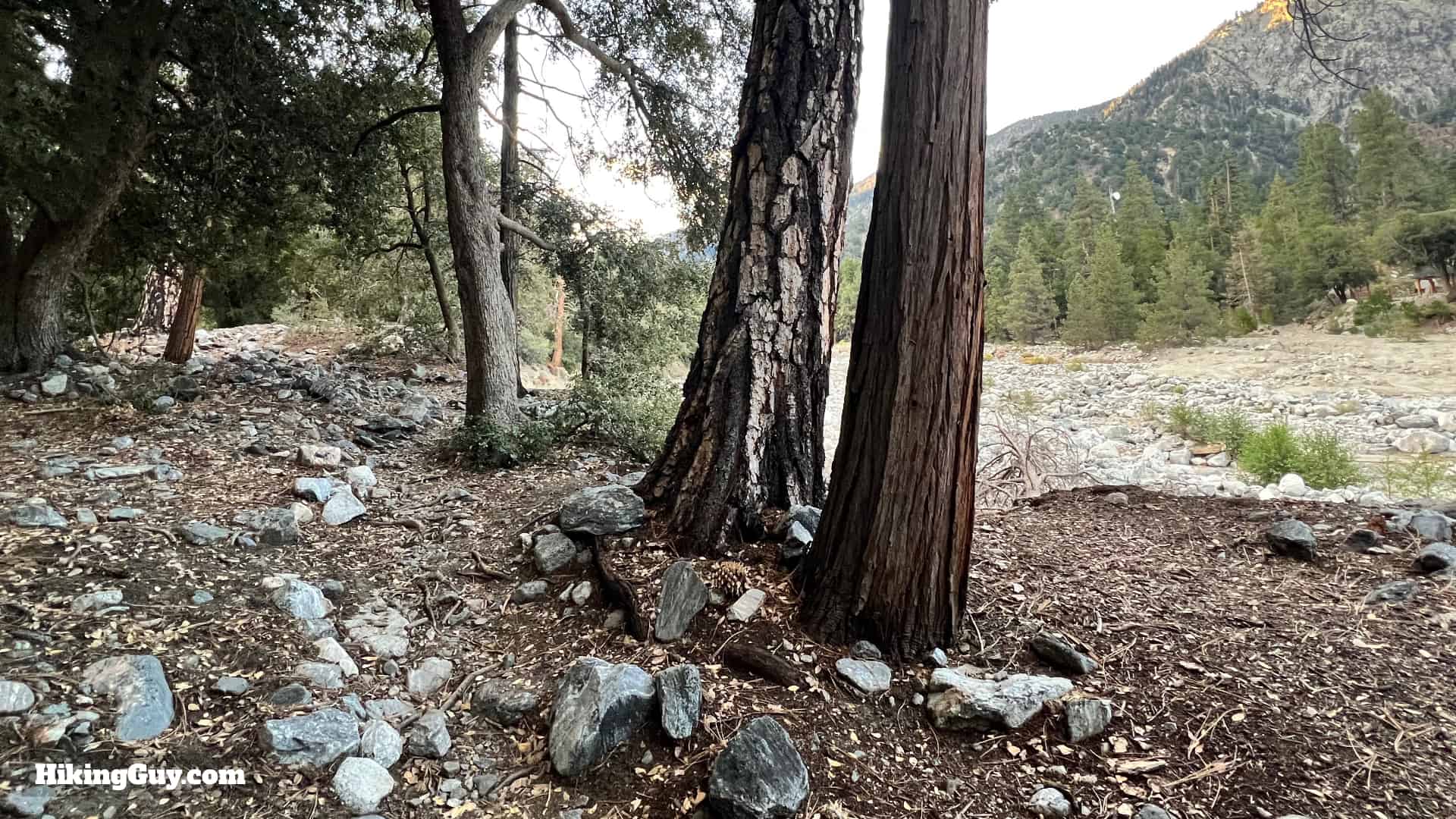 Momyer Creek Trail To Dobbs Cabin 9