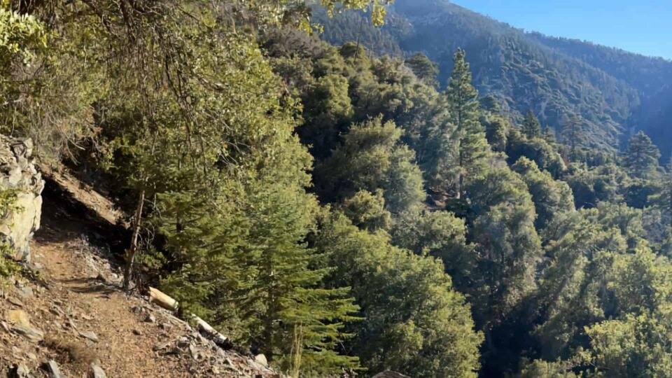 Momyer Creek Trail To Dobbs Cabin Featured