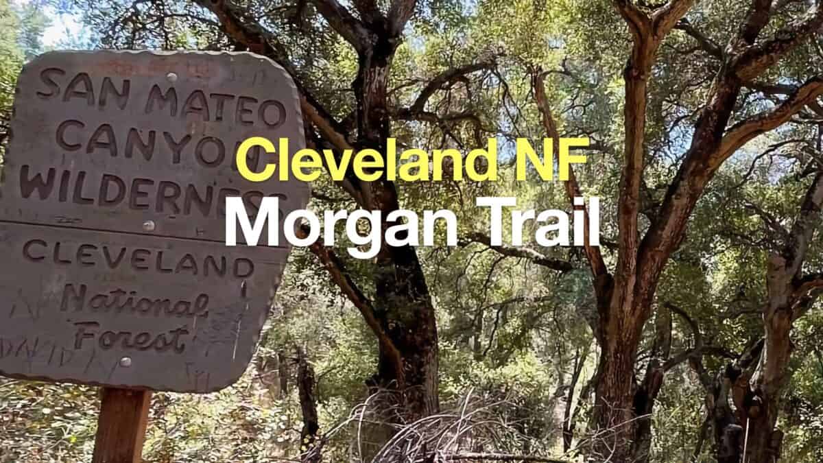 Morgan Trail Hike (Cleveland National Forest)