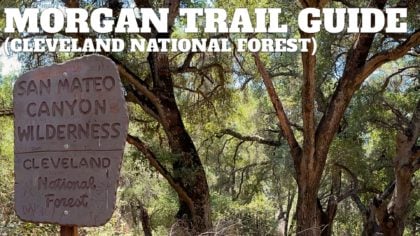 Morgan Trail Hike (Cleveland National Forest)