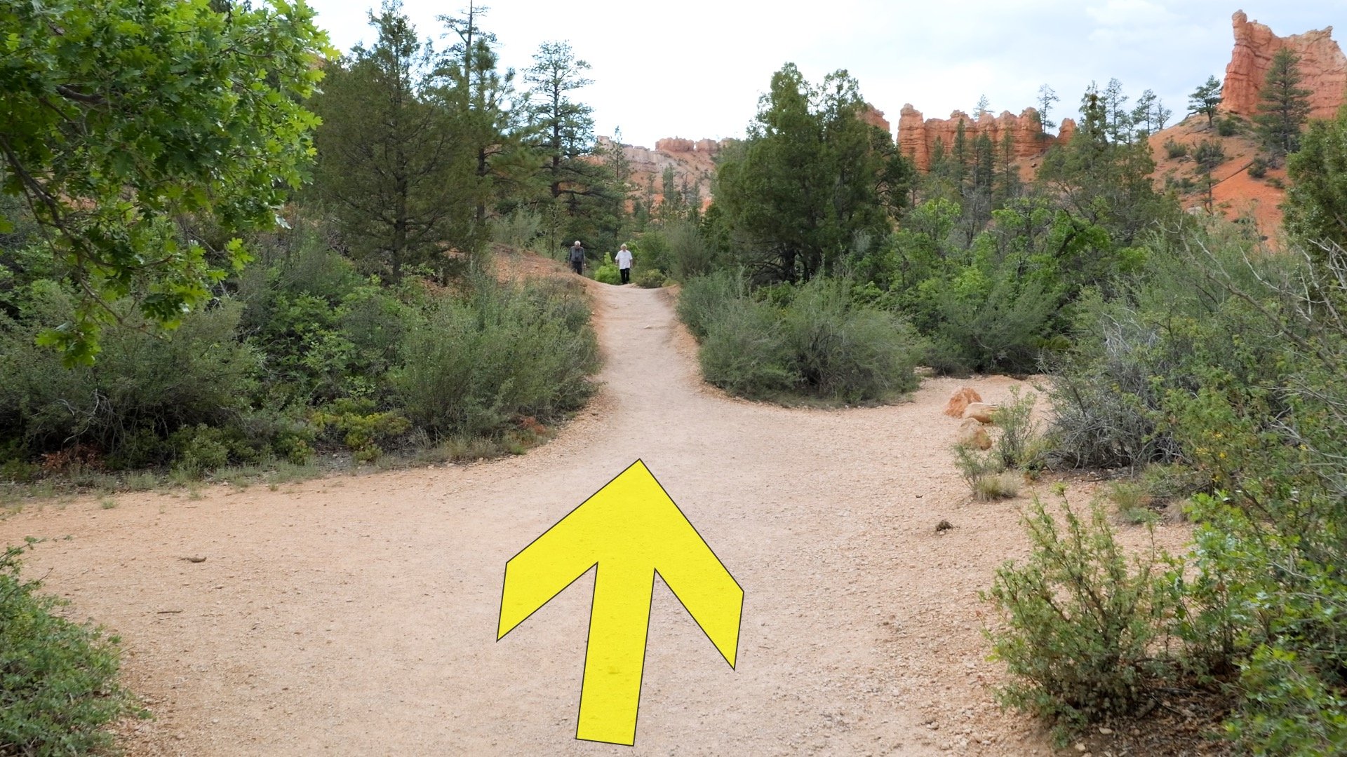 Mossy Cave Trail Directions 3