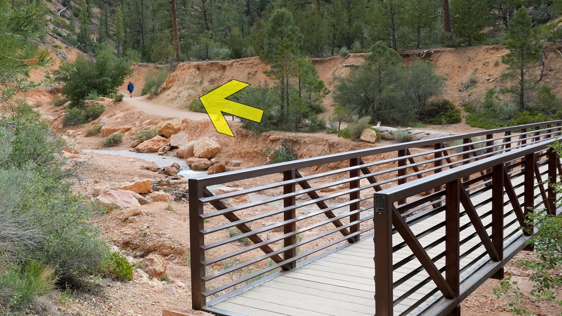 Mossy Cave Trail Directions 4