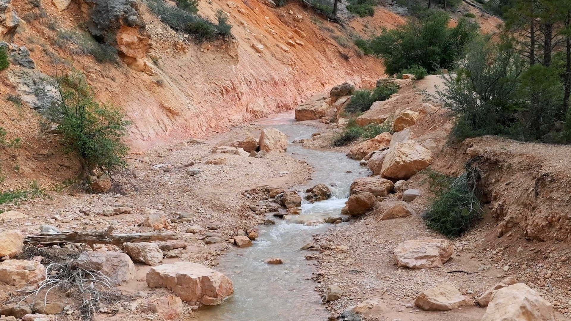 Mossy Cave Trail Directions 5