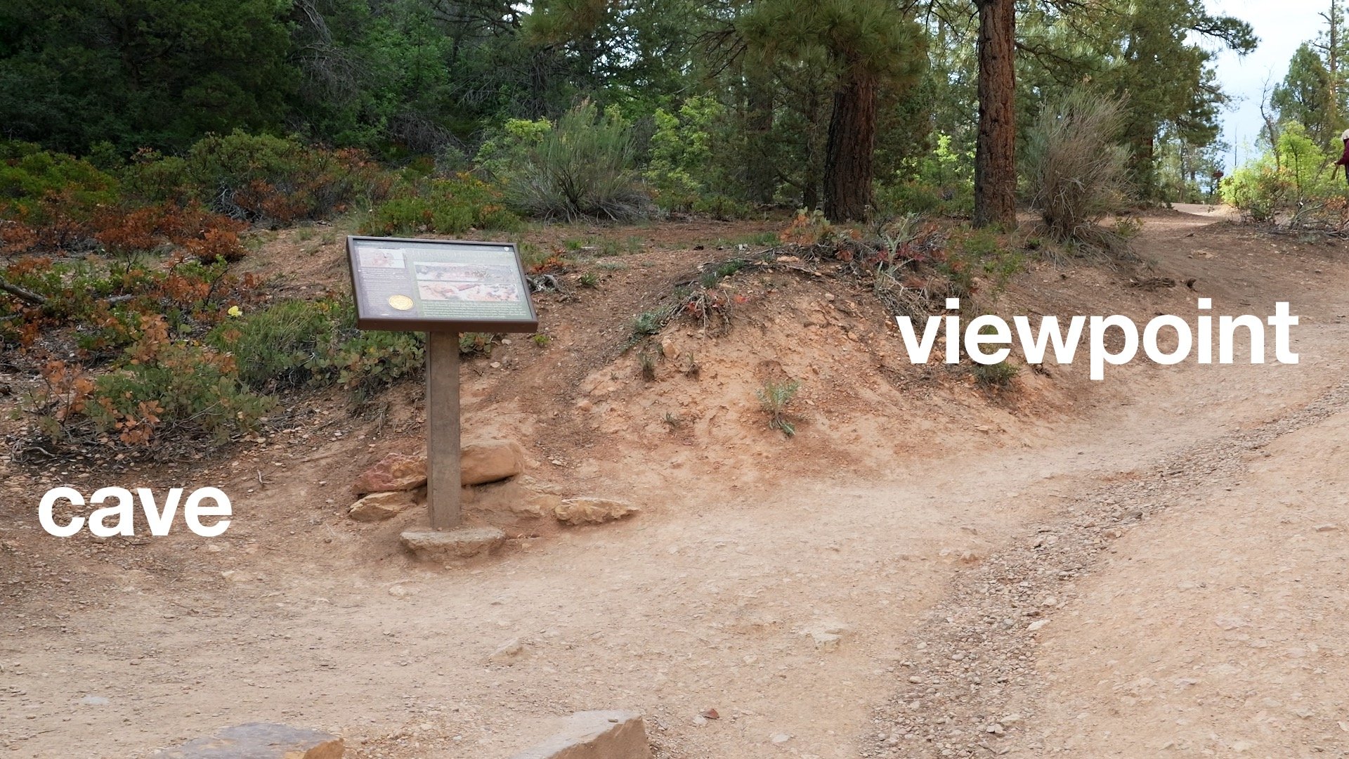 Mossy Cave Trail Directions 7