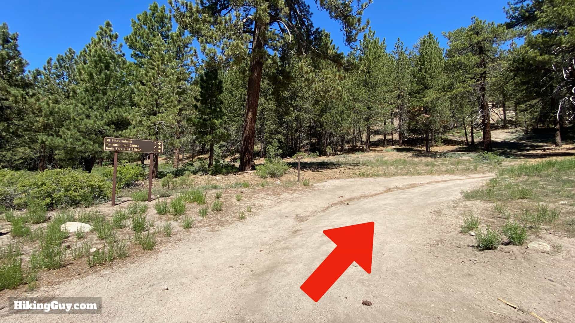 Mount Pinos Trail and Sawmill Mountain Hike Guide