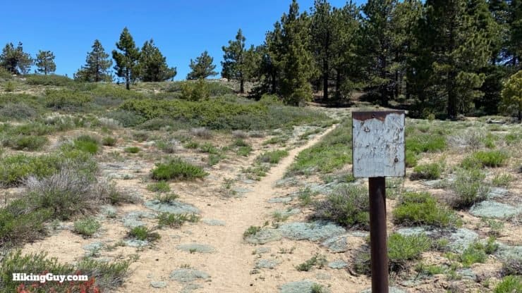 Mount Pinos Hike Directions 11