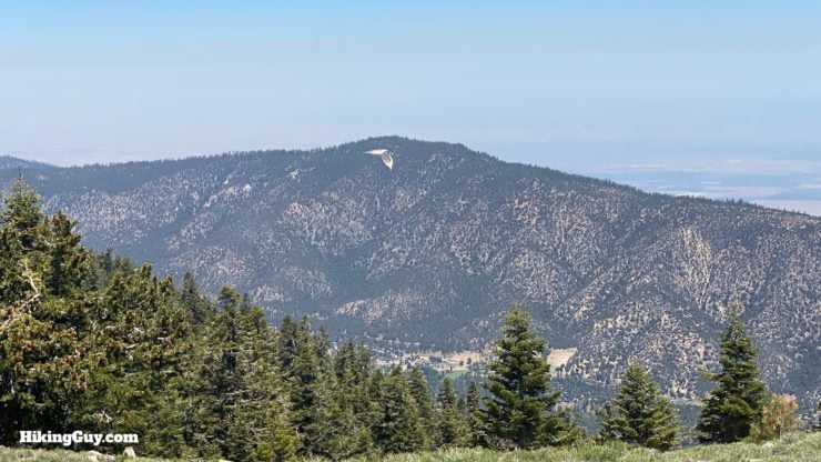 Mount Pinos Hike Directions 13