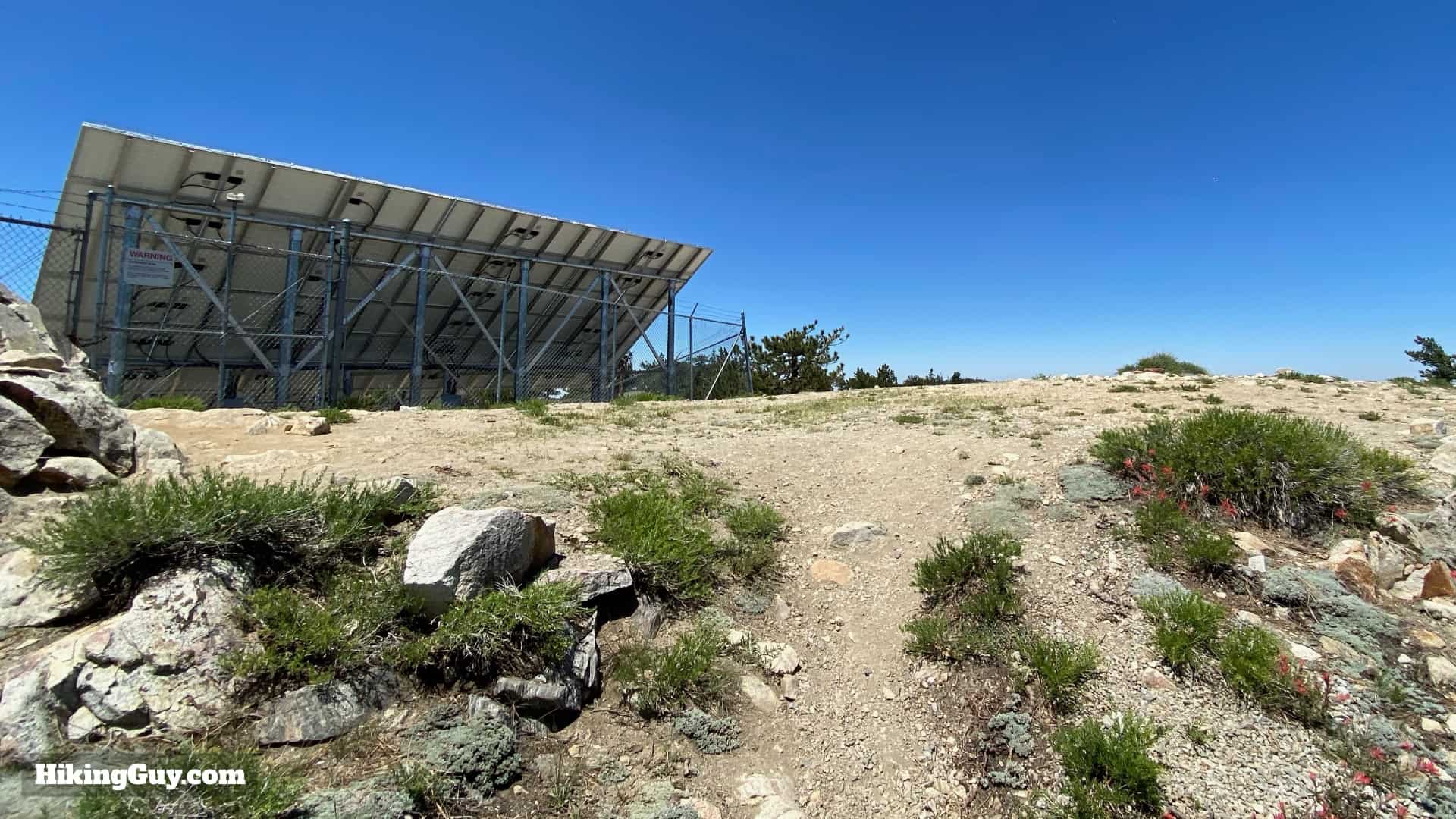 Mount Pinos Trail and Sawmill Mountain Hike Guide