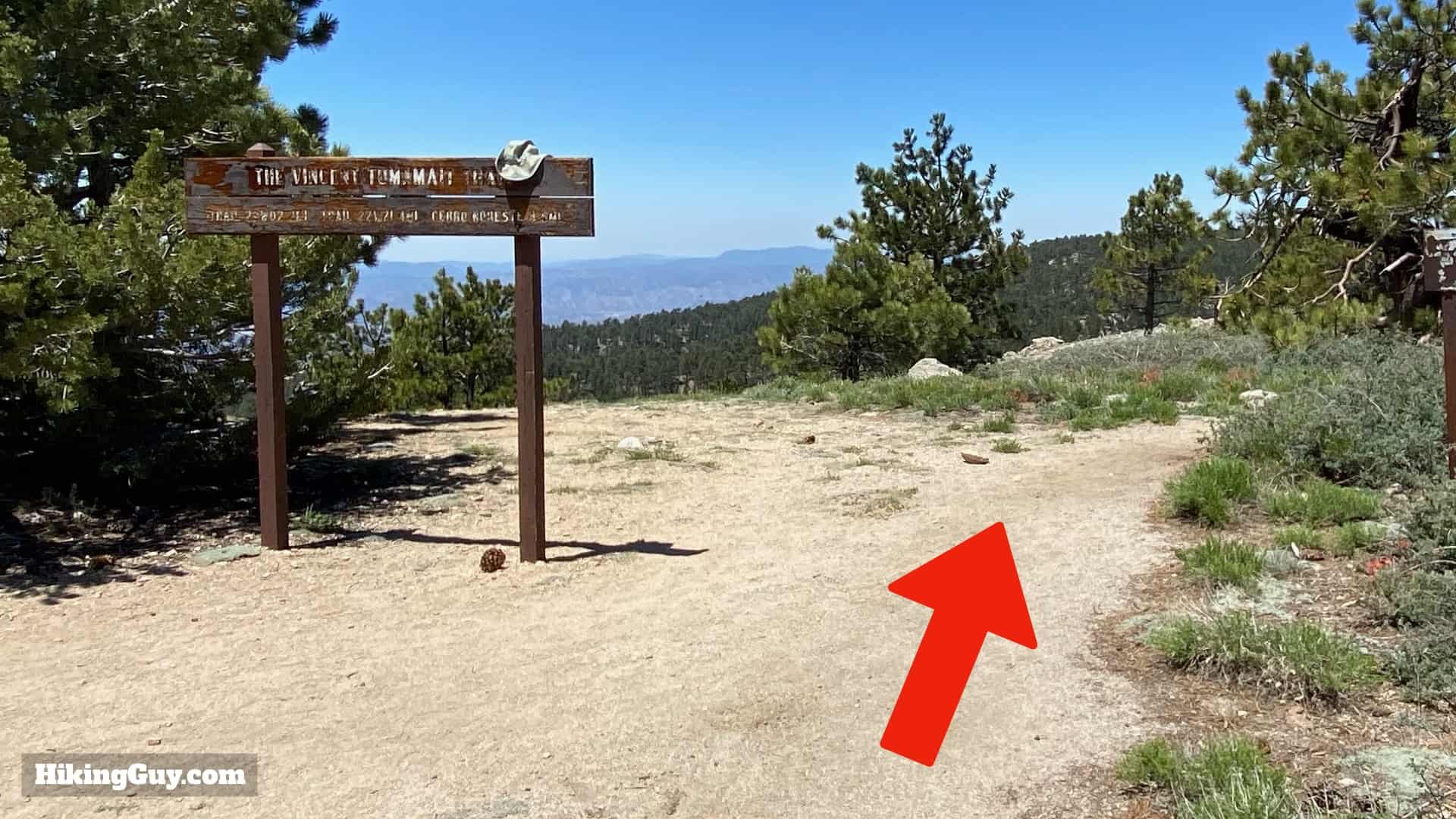 Mount Pinos Trail and Sawmill Mountain Hike Guide