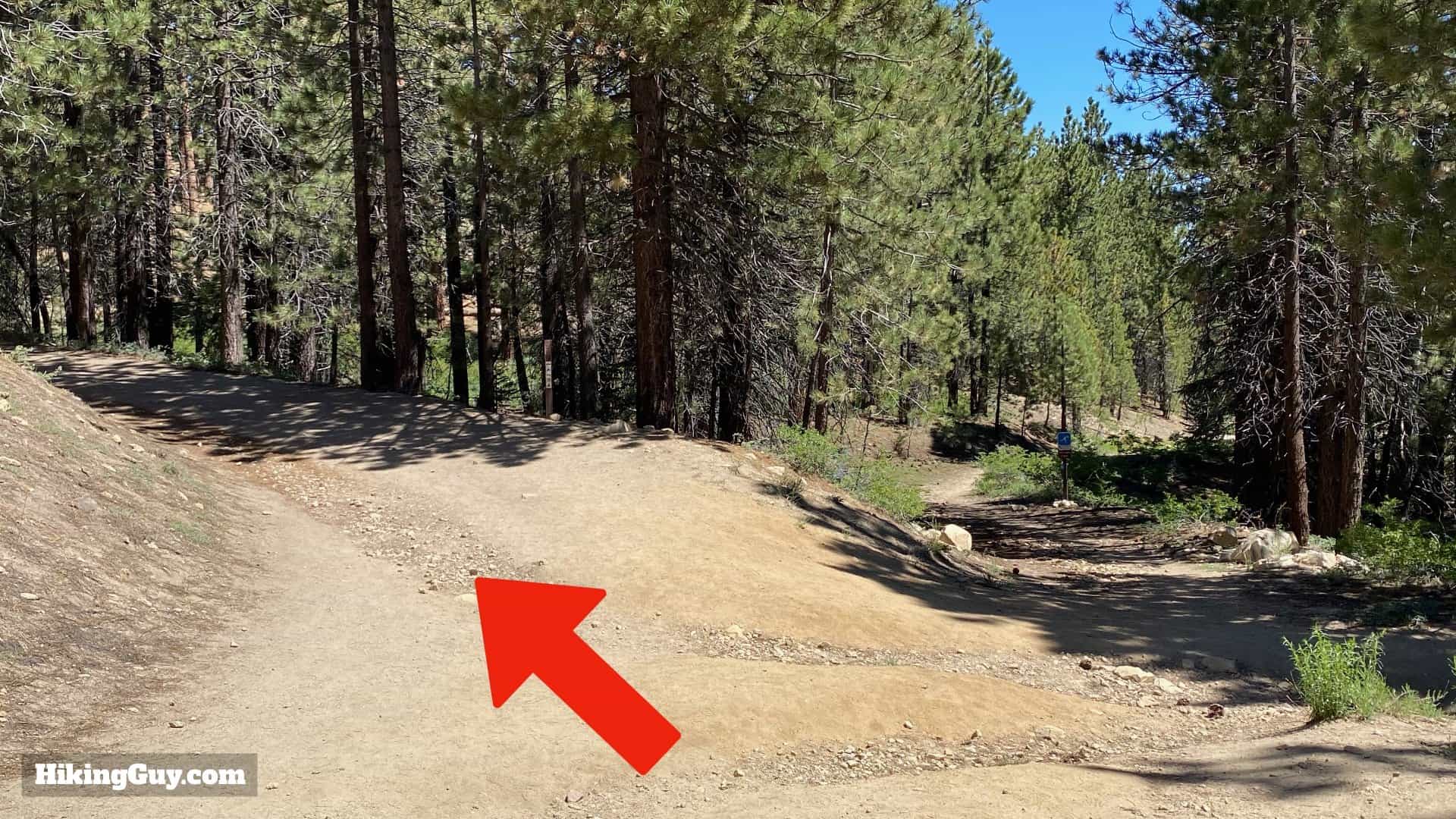 Mount Pinos Trail and Sawmill Mountain Hike Guide