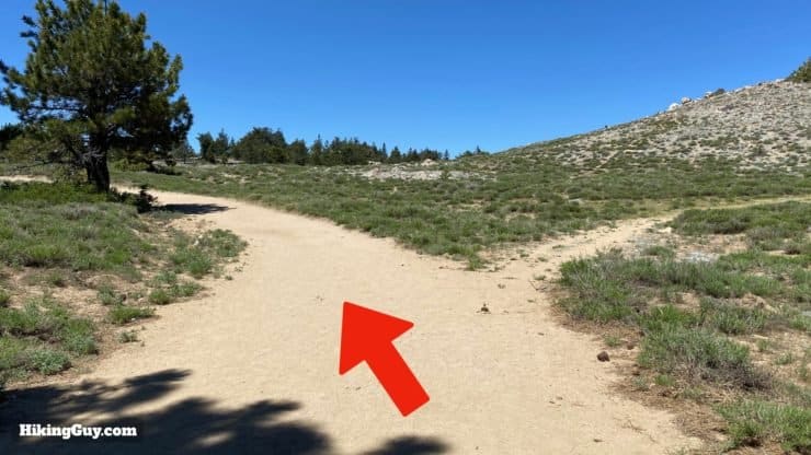 Mount Pinos Hike Directions 8