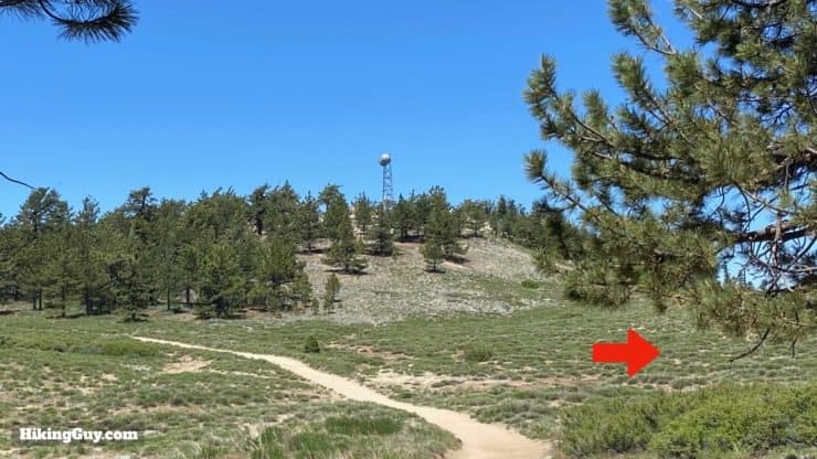 Mount Pinos Hike Directions 9