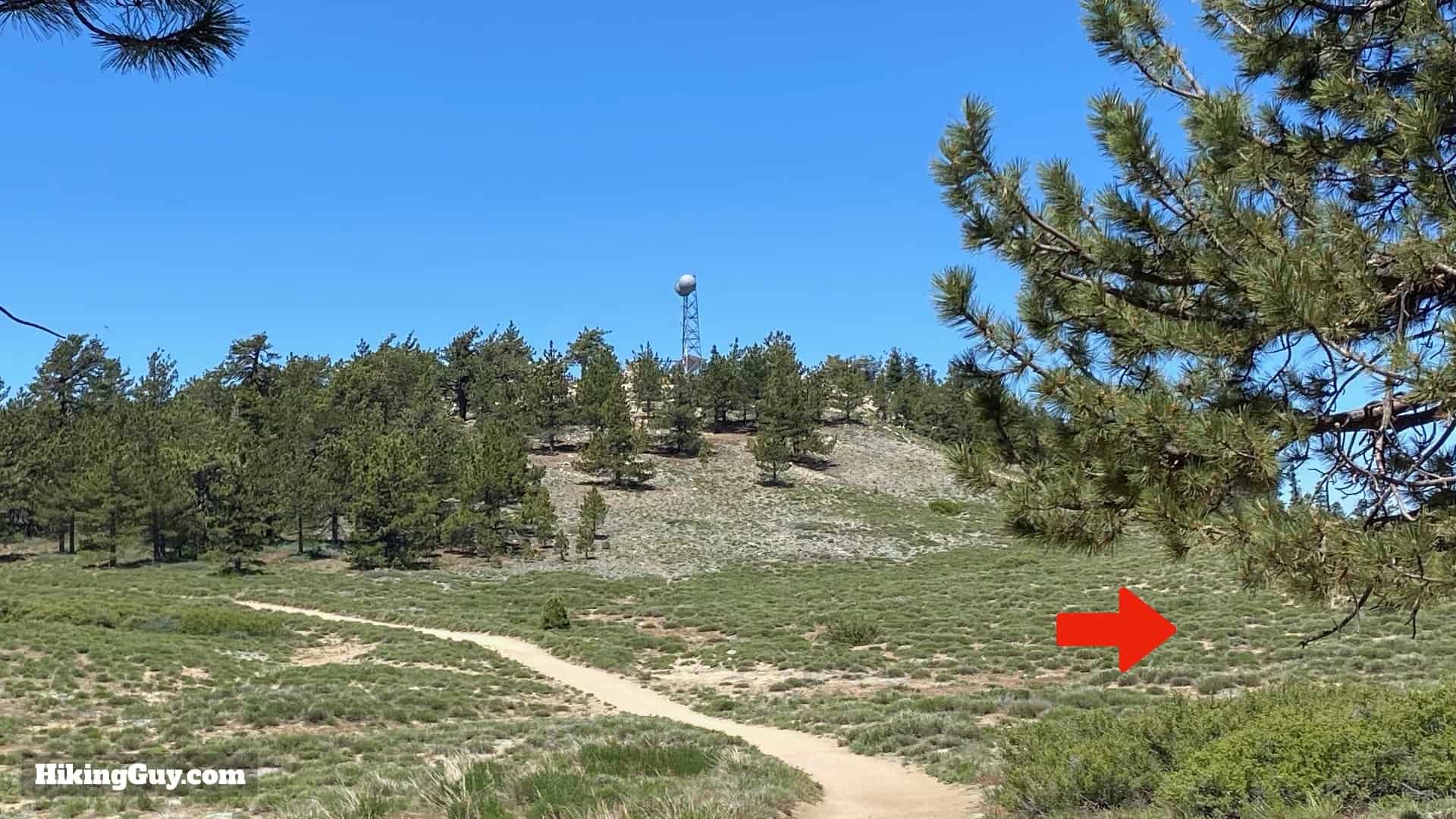 Mount Pinos Trail and Sawmill Mountain Hike Guide
