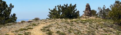 Mount Pinos Trail And Sawmill Mountain Hike Guide