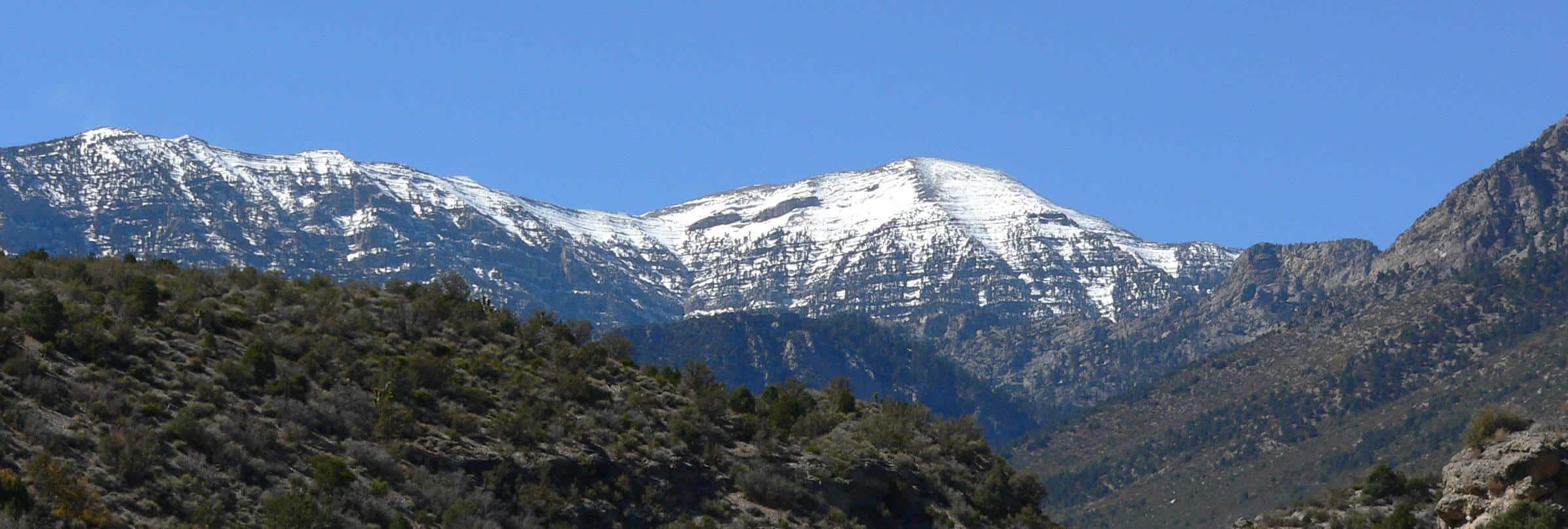 Mt Charleston Peak Hike South Loop Trail