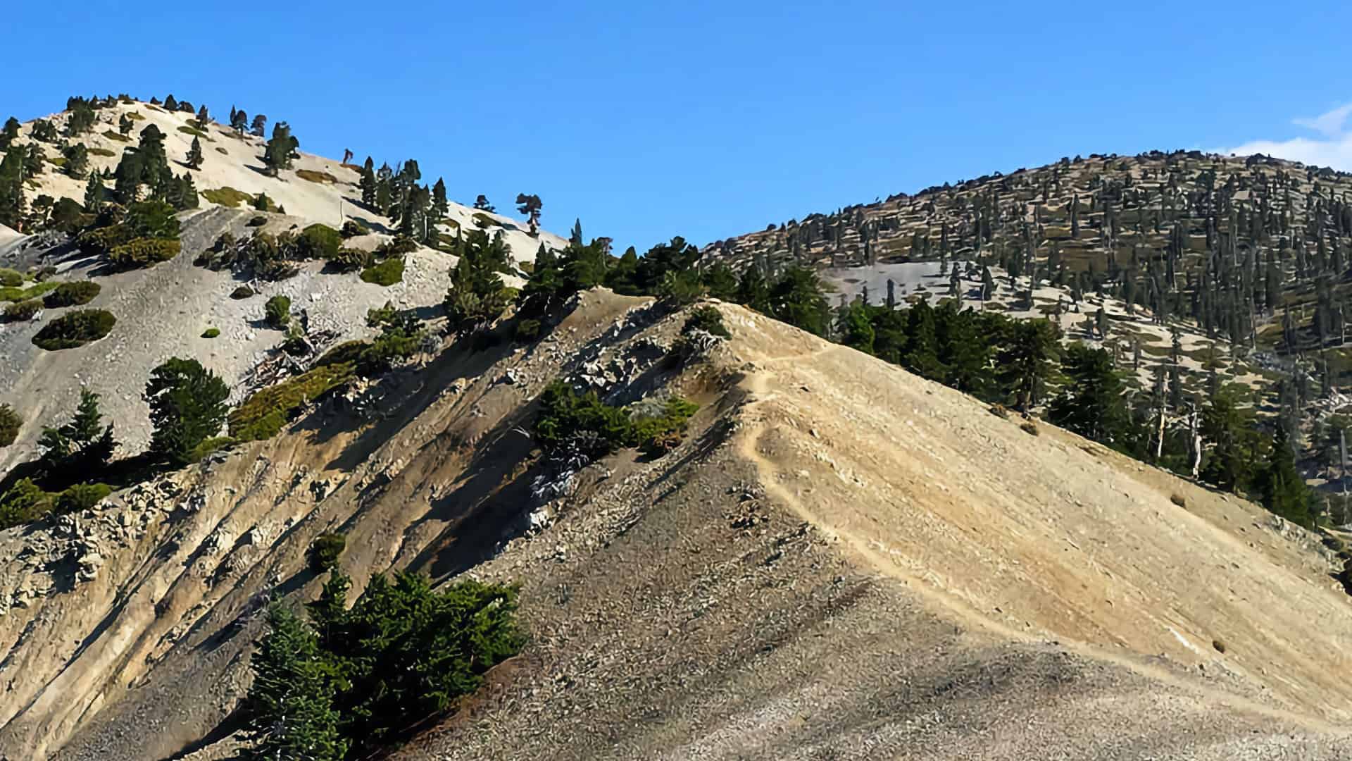 Hike Mt Baldy on the Bear Canyon Trail