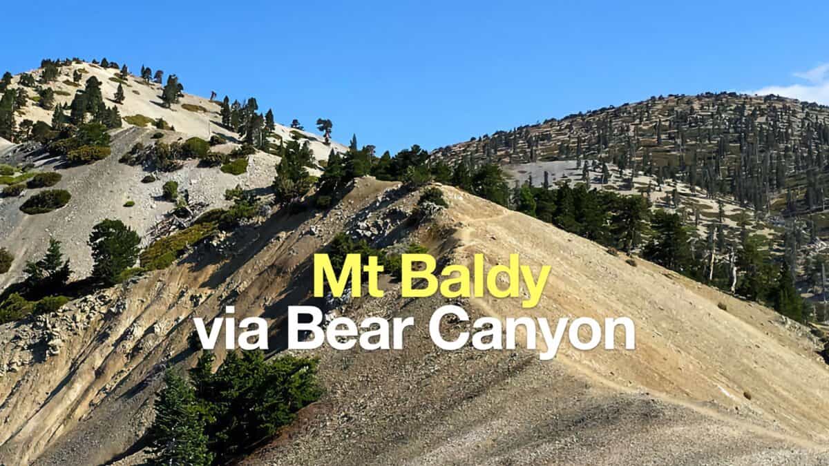 Hike Mt Baldy on the Bear Canyon Trail