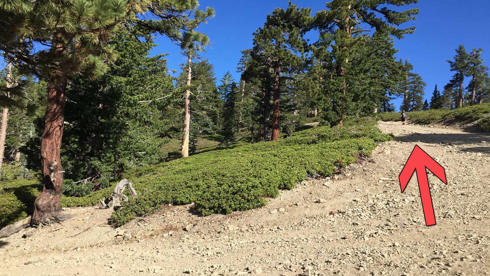 mt baldy hike climbs