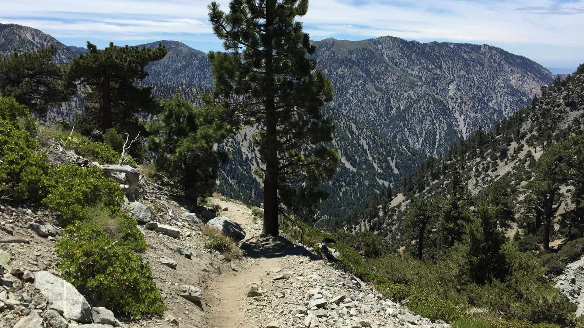 mt baldy hike descends