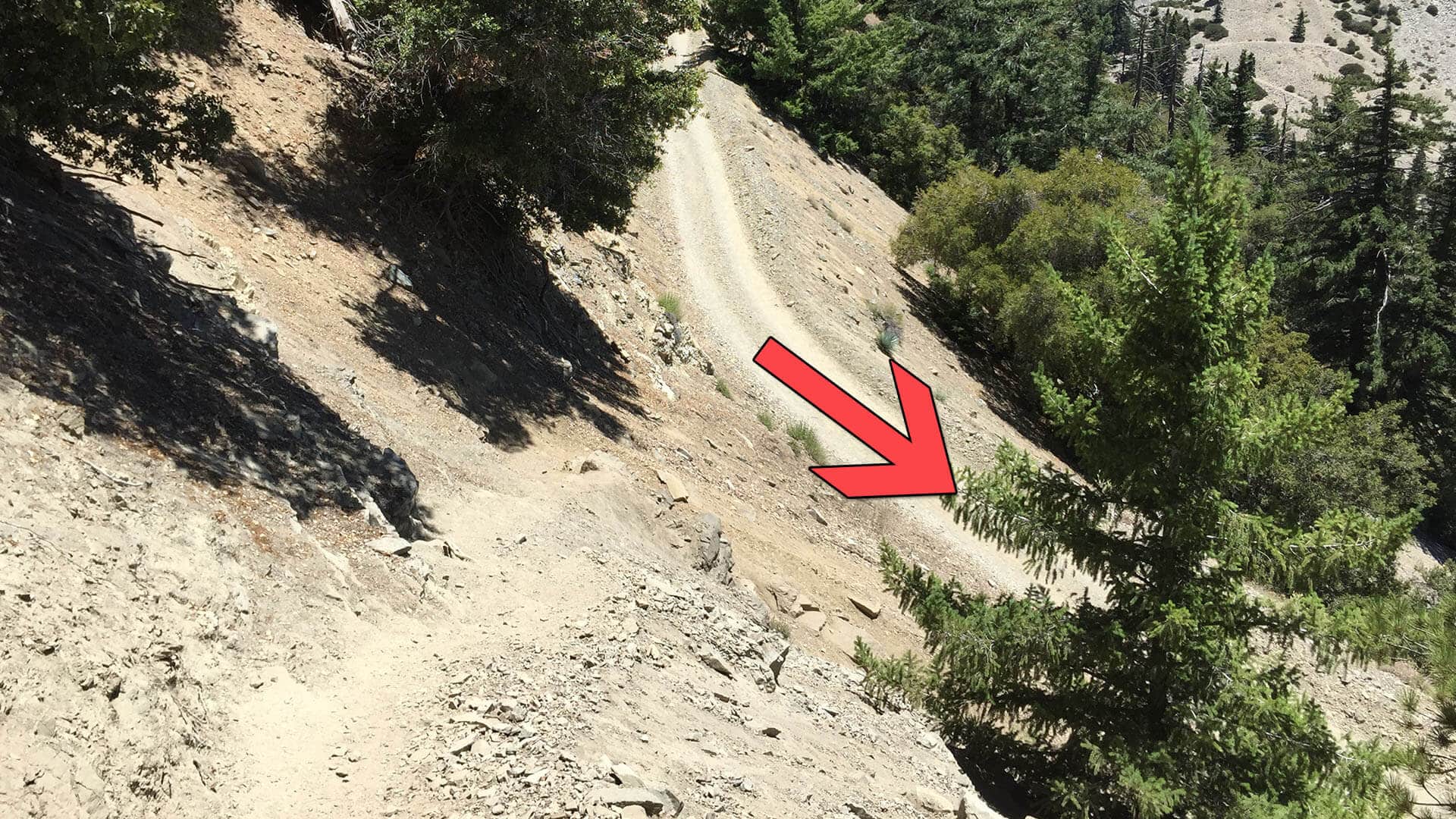 mt baldy hike dirt road