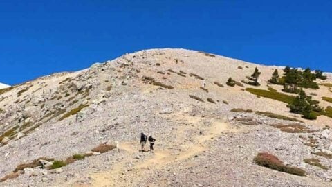 Mt Baldy Hike