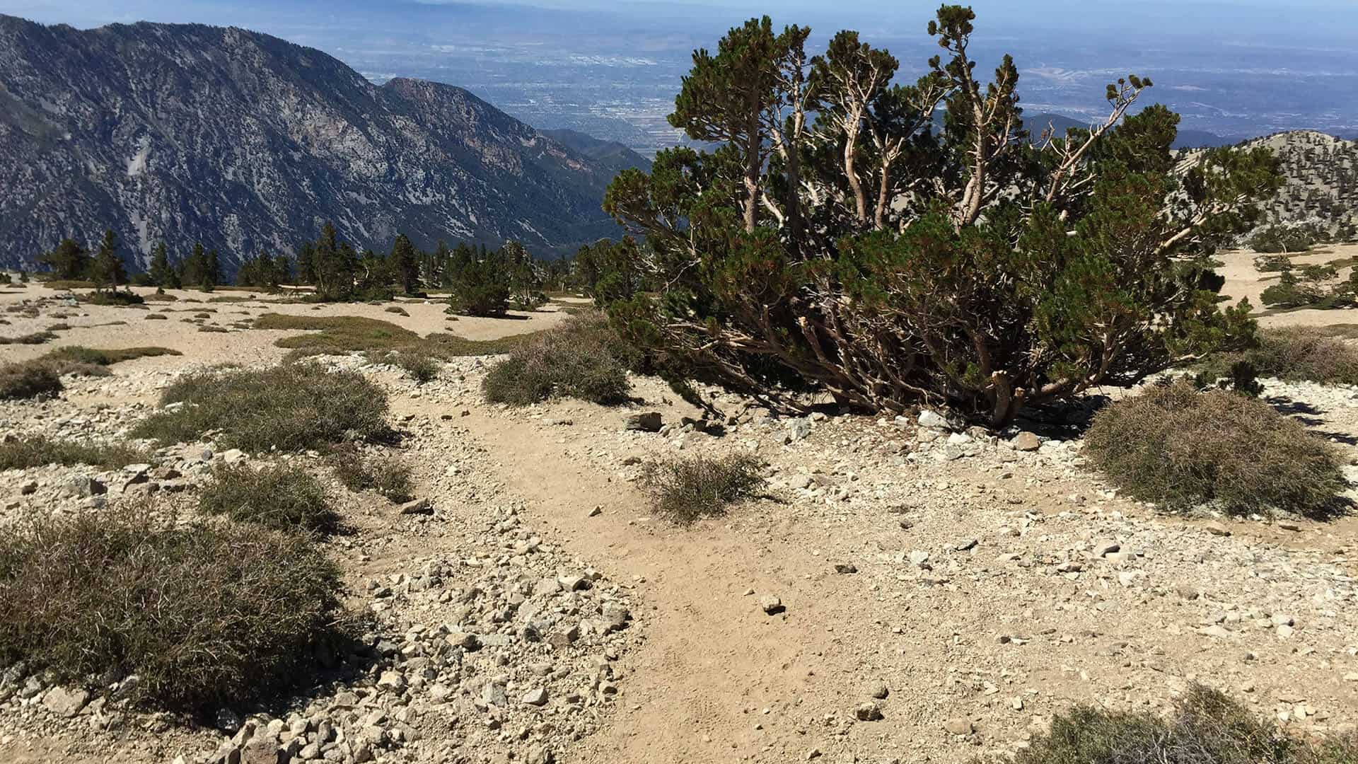 mt baldy hike trail
