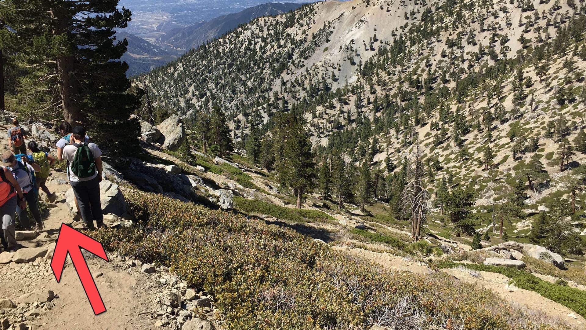 mt baldy hike trail stays left