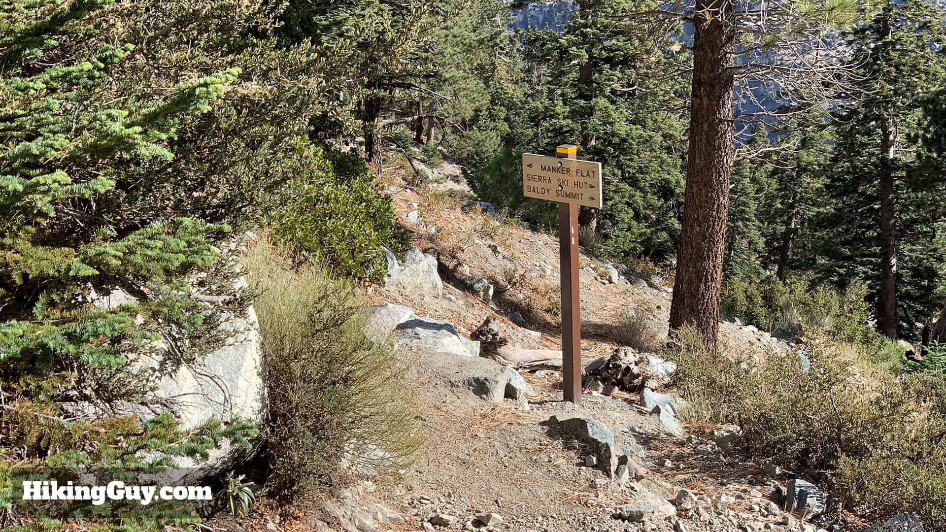 Mt Baldy Hike Update 10