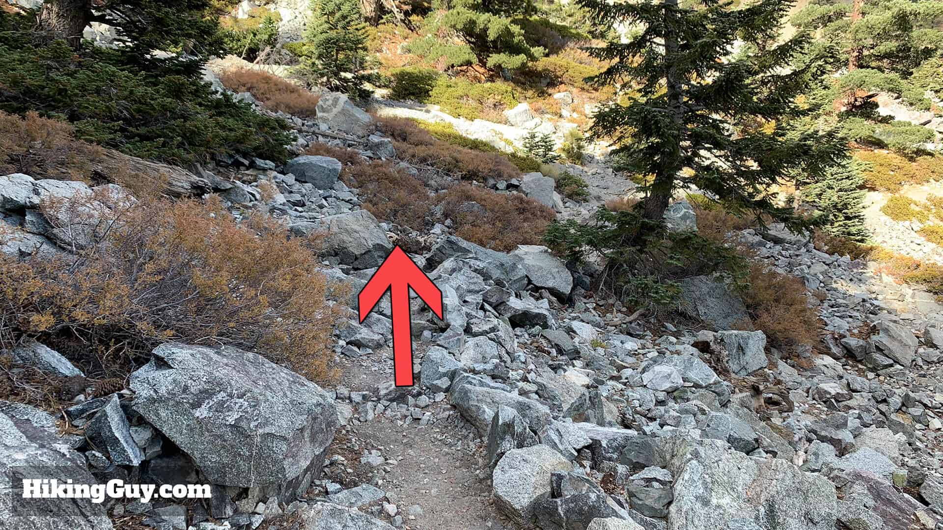 Mt Baldy Hike Update 17