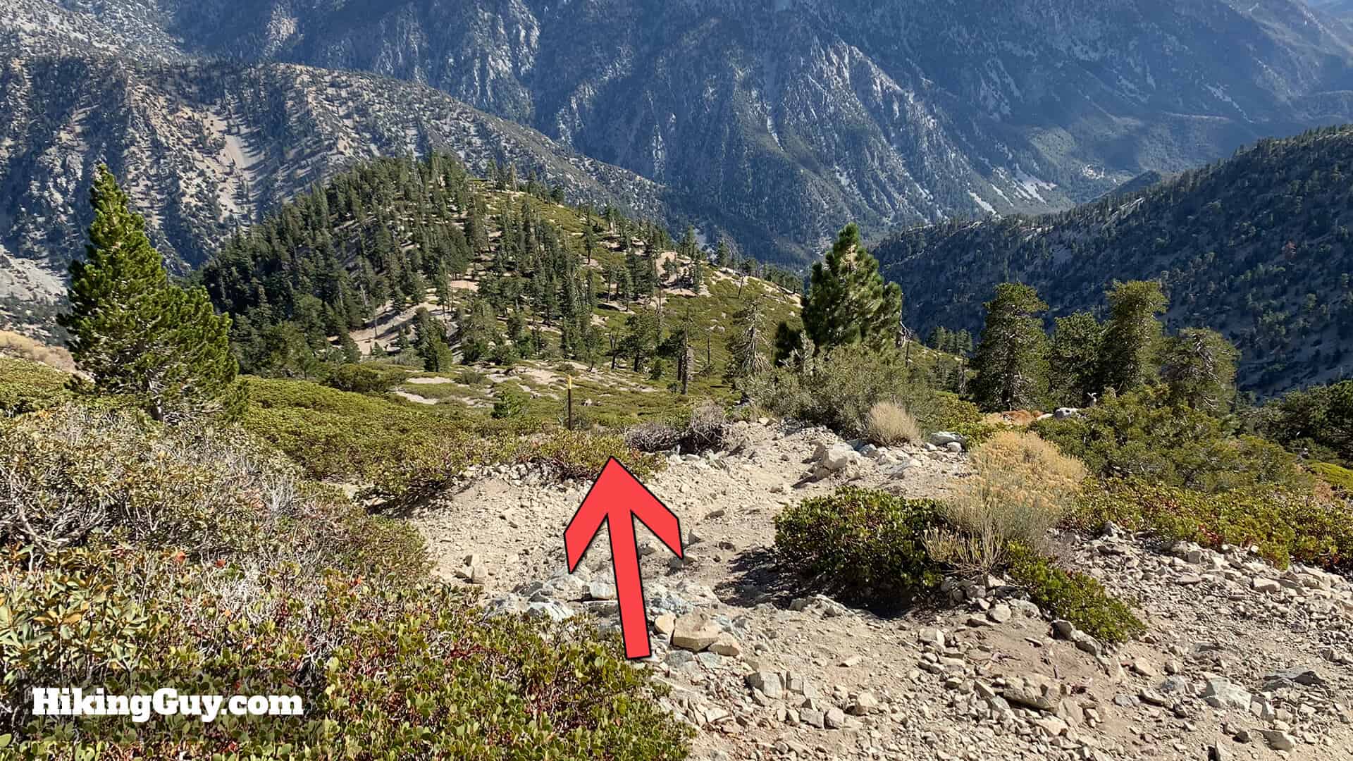 Mt Baldy Hike Update 19
