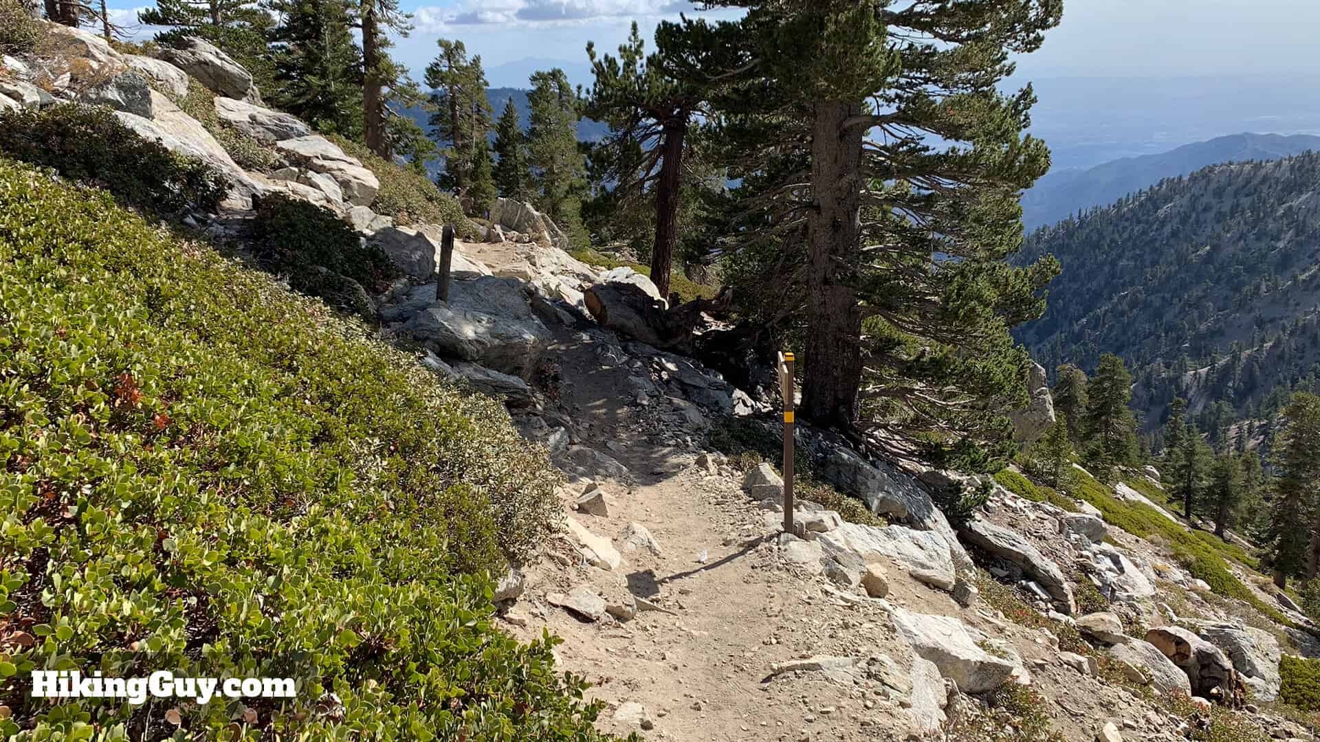 Mt Baldy Hike Update 20