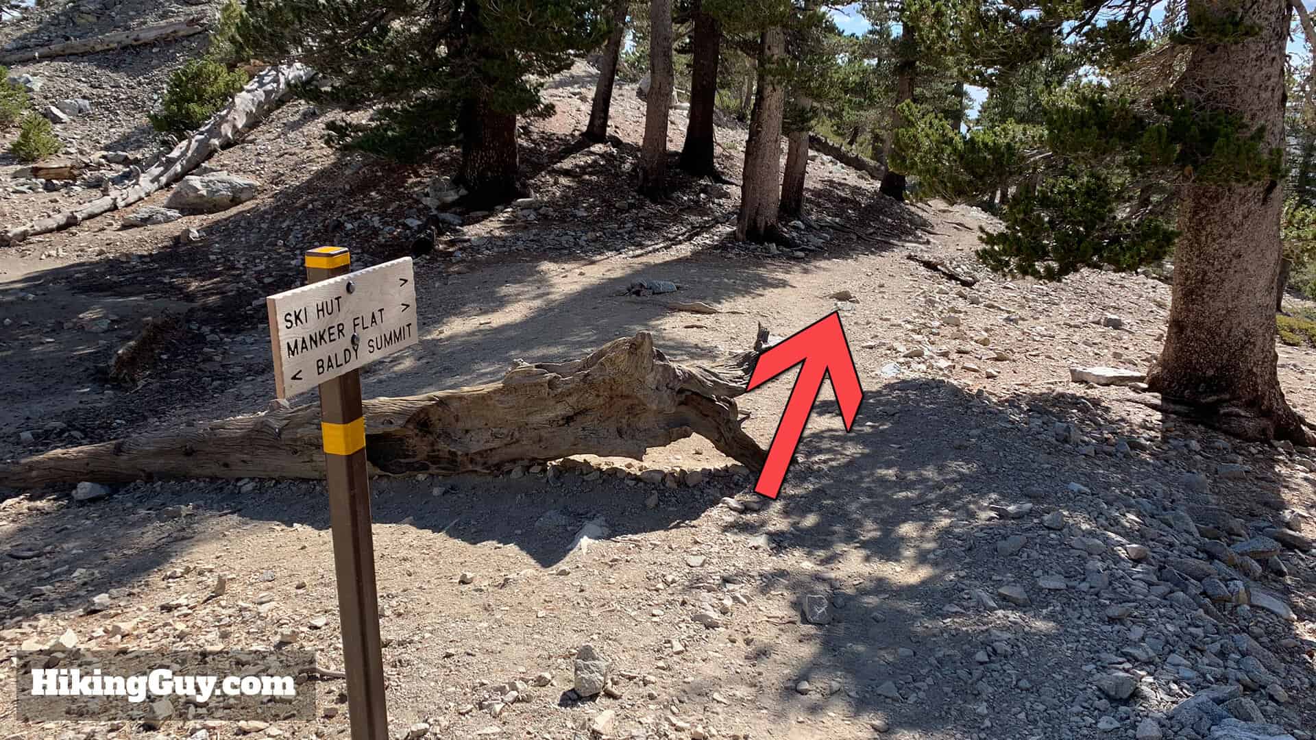 Mt Baldy Hike Update 22