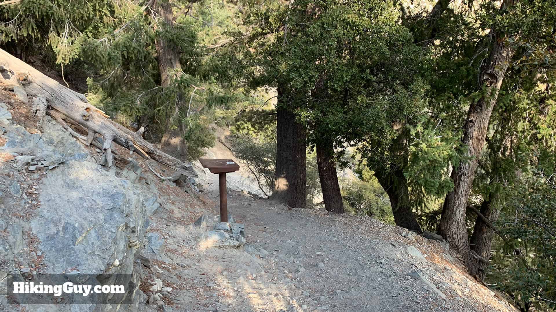 Mt Baldy Hike Update 9