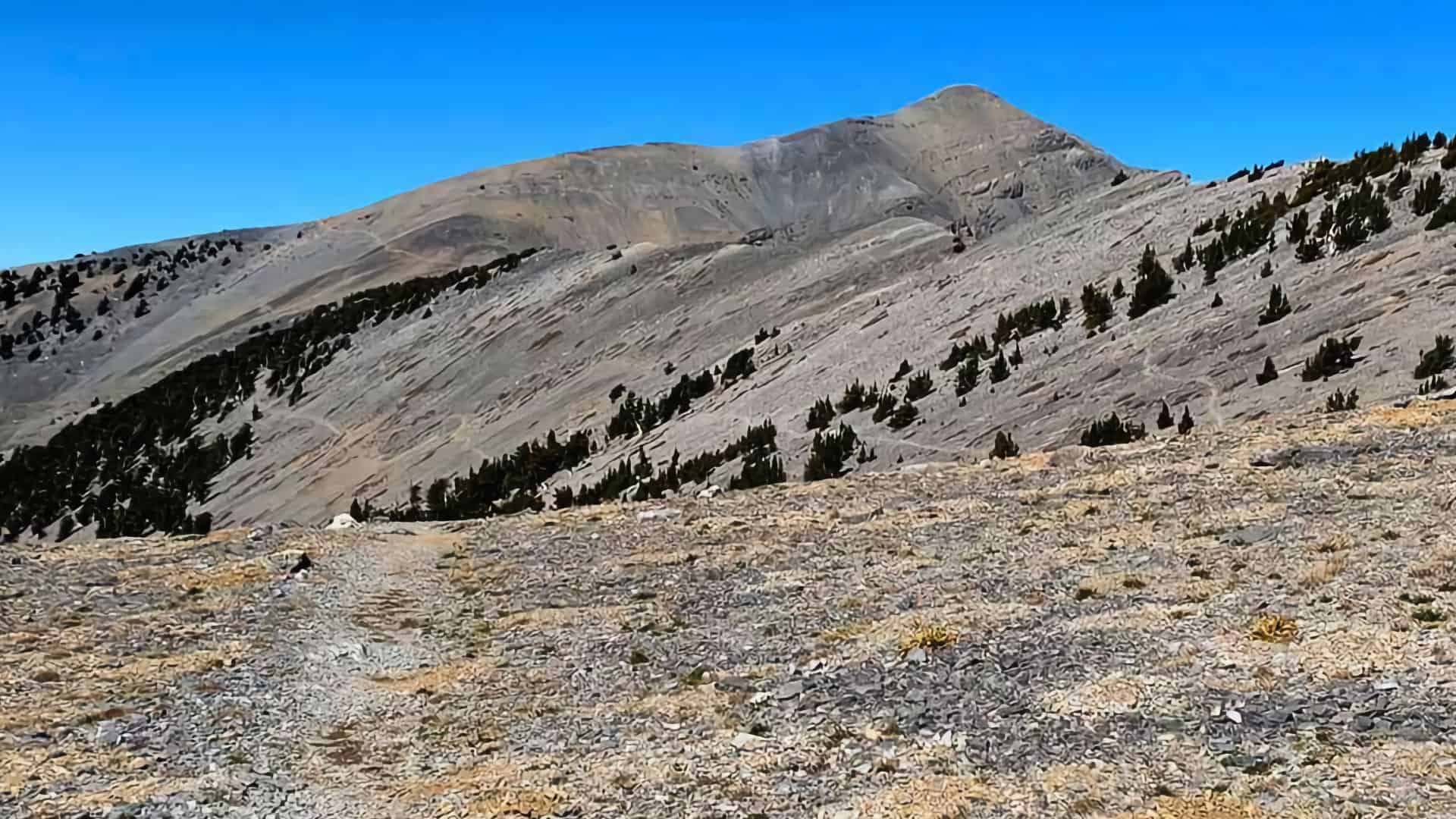 Mt Charleston Peak Hike - South Loop Trail
