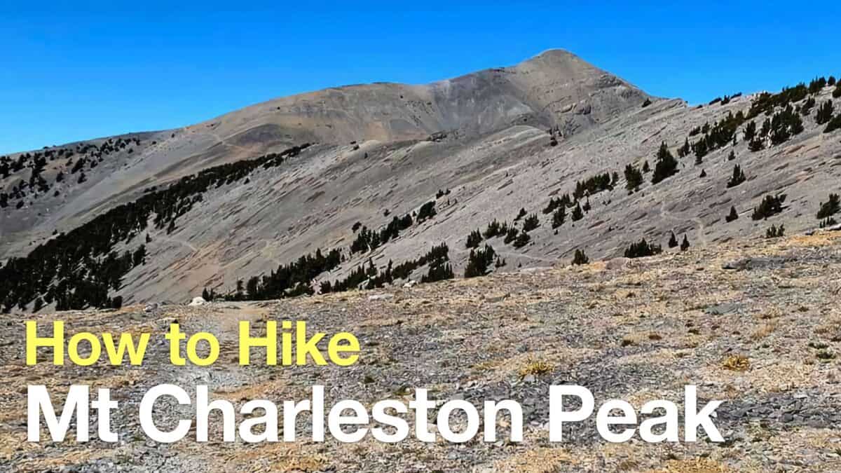 Mt Charleston Peak Hike - South Loop Trail