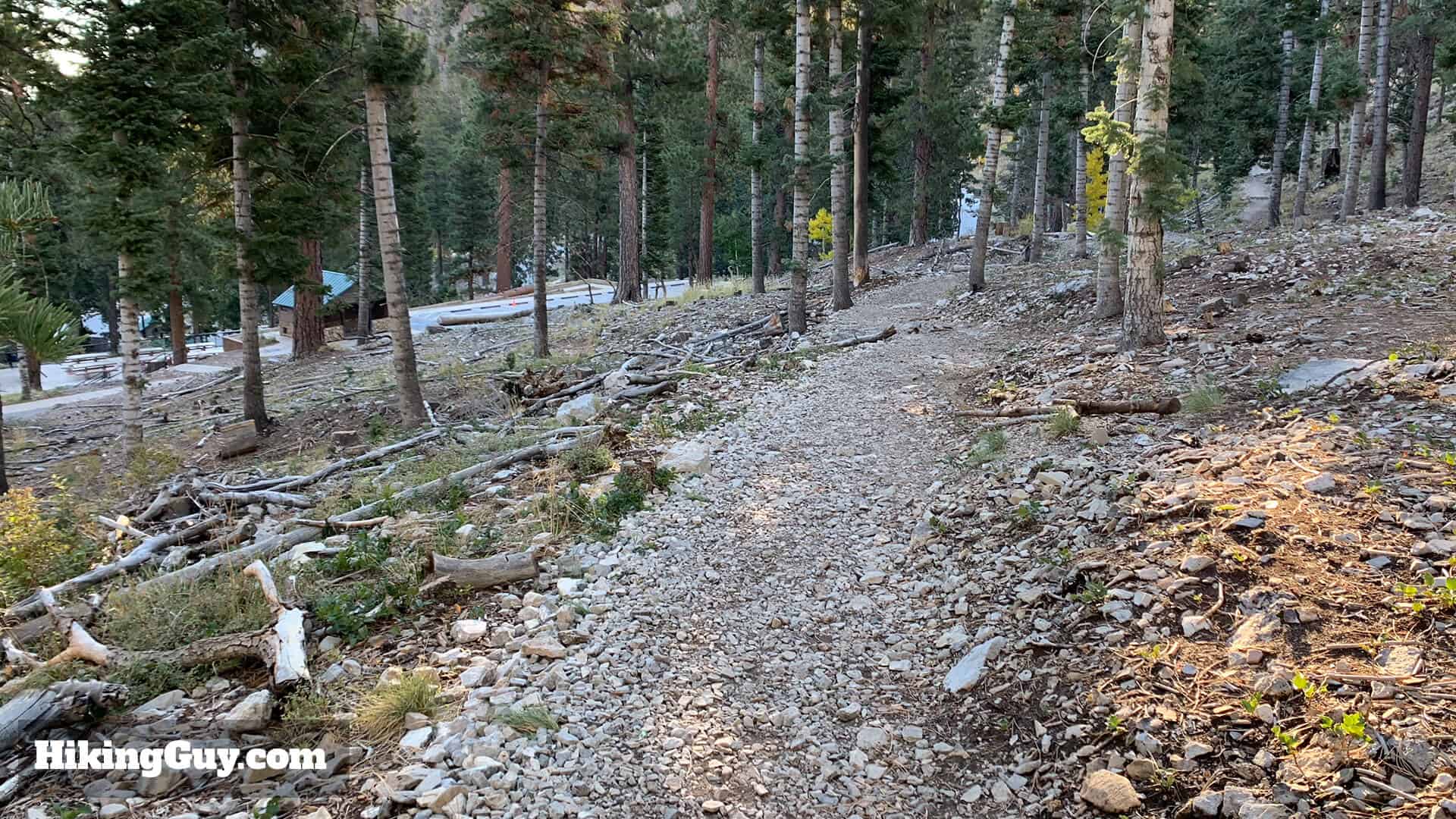 Mt Charleston Peak Hike Directions 10