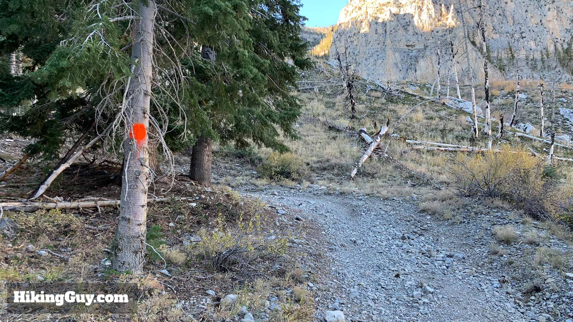 Mt Charleston Peak Hike Directions 13