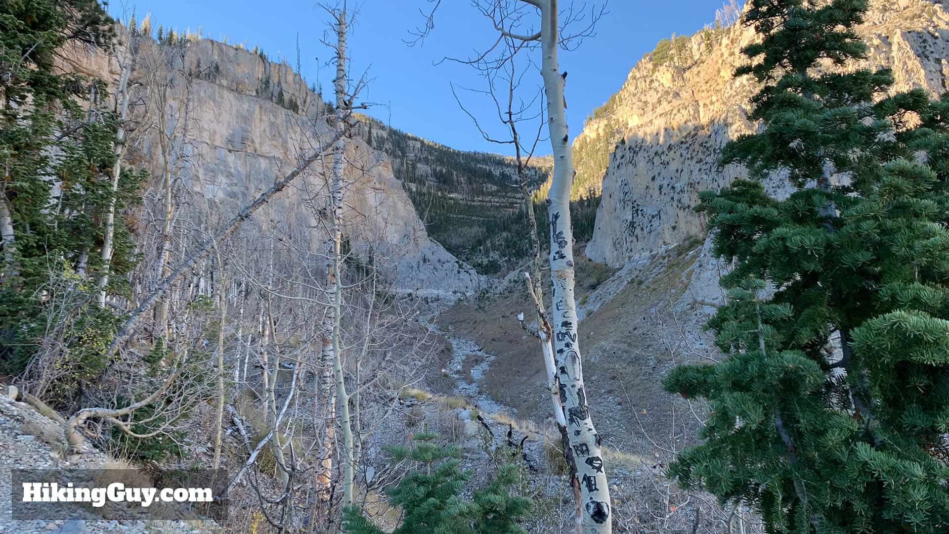 Mt Charleston Peak Hike Directions 15