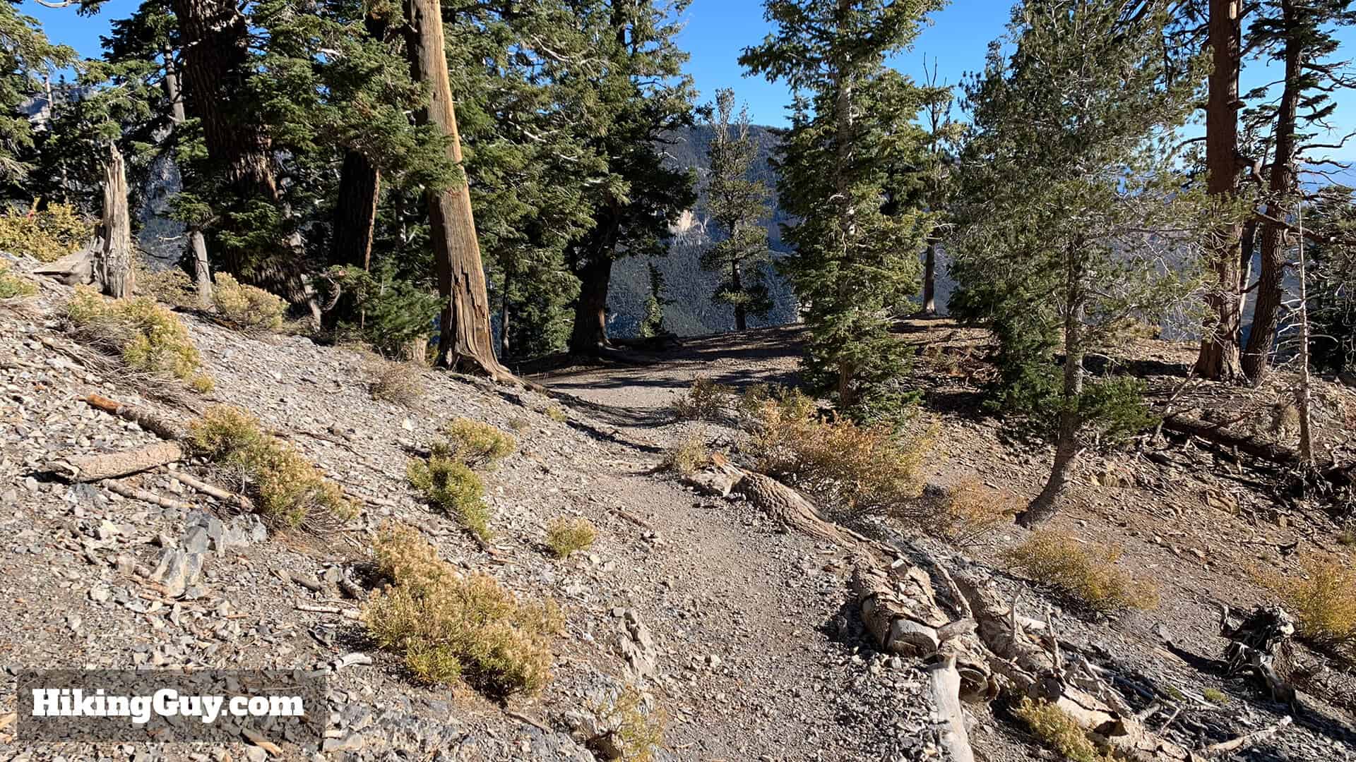 Mt Charleston Peak Hike Directions 17