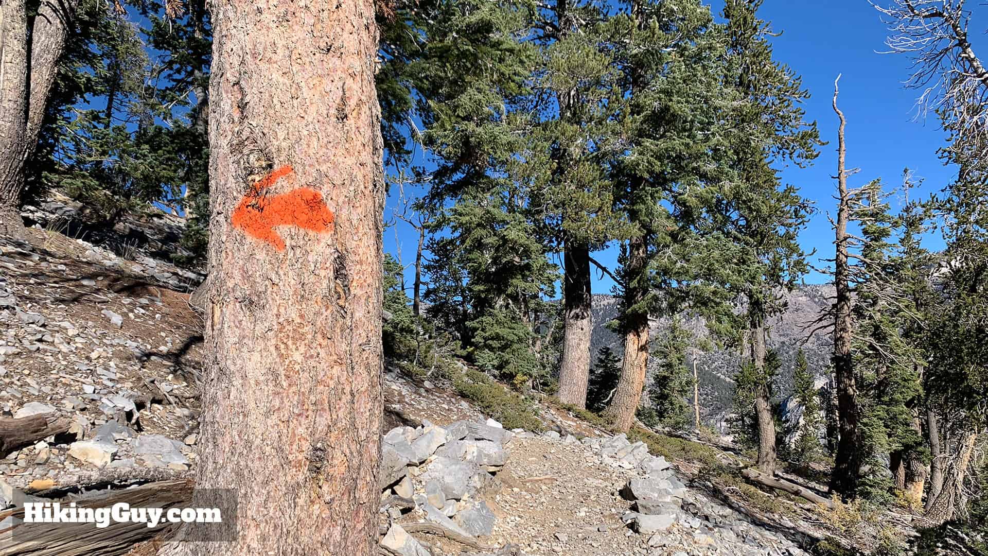 Mt Charleston Peak Hike Directions 18