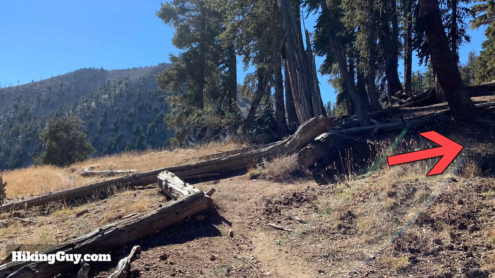 Mt Charleston Peak Hike Directions 21