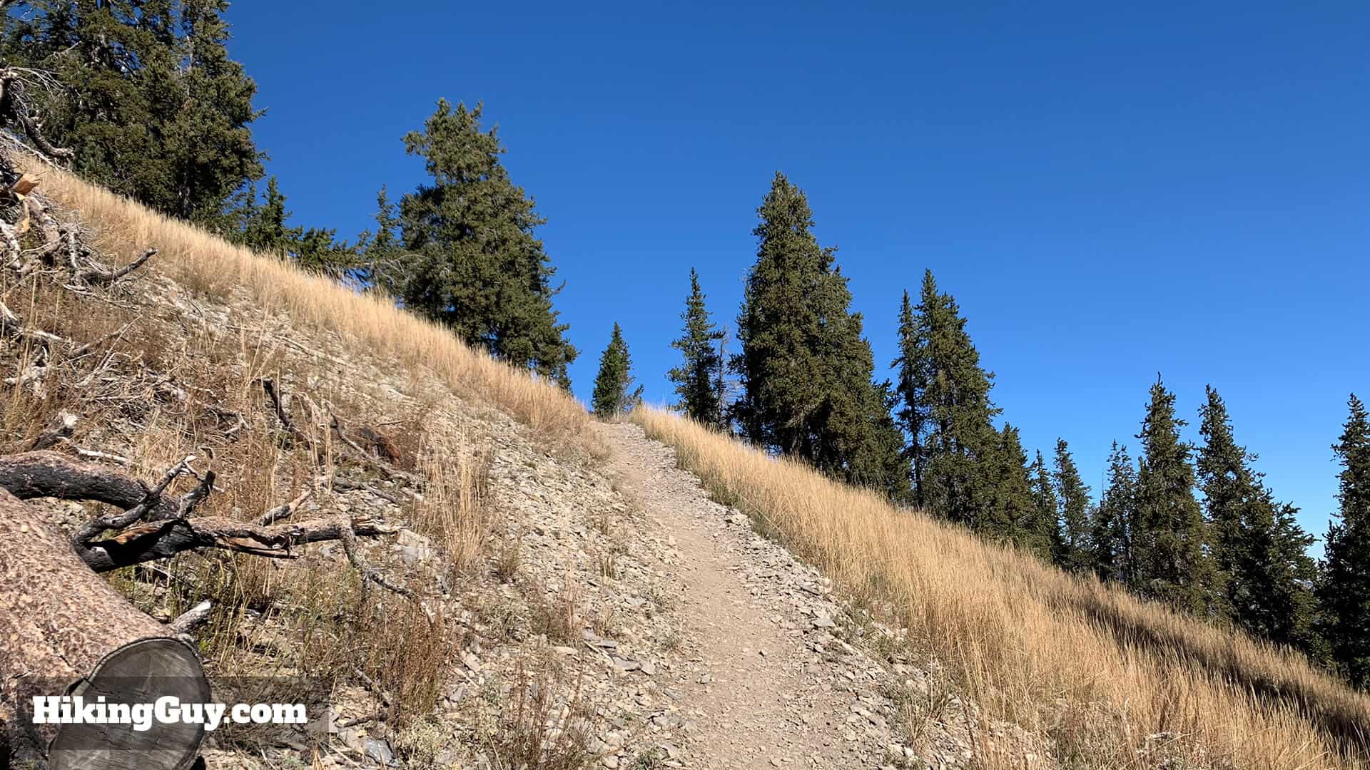 Mt Charleston Peak Hike Directions 22