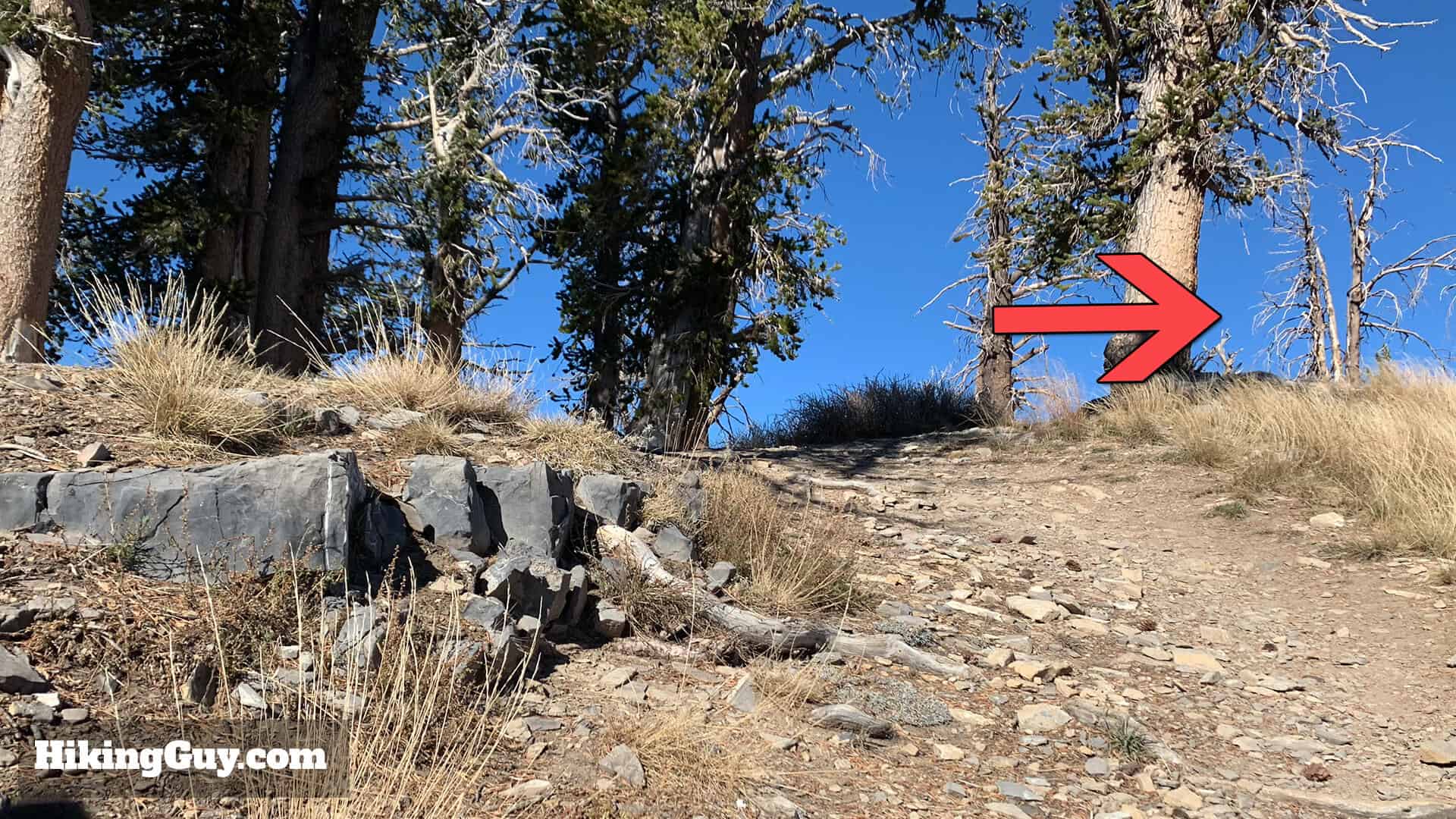 Mt Charleston Peak Hike Directions 23