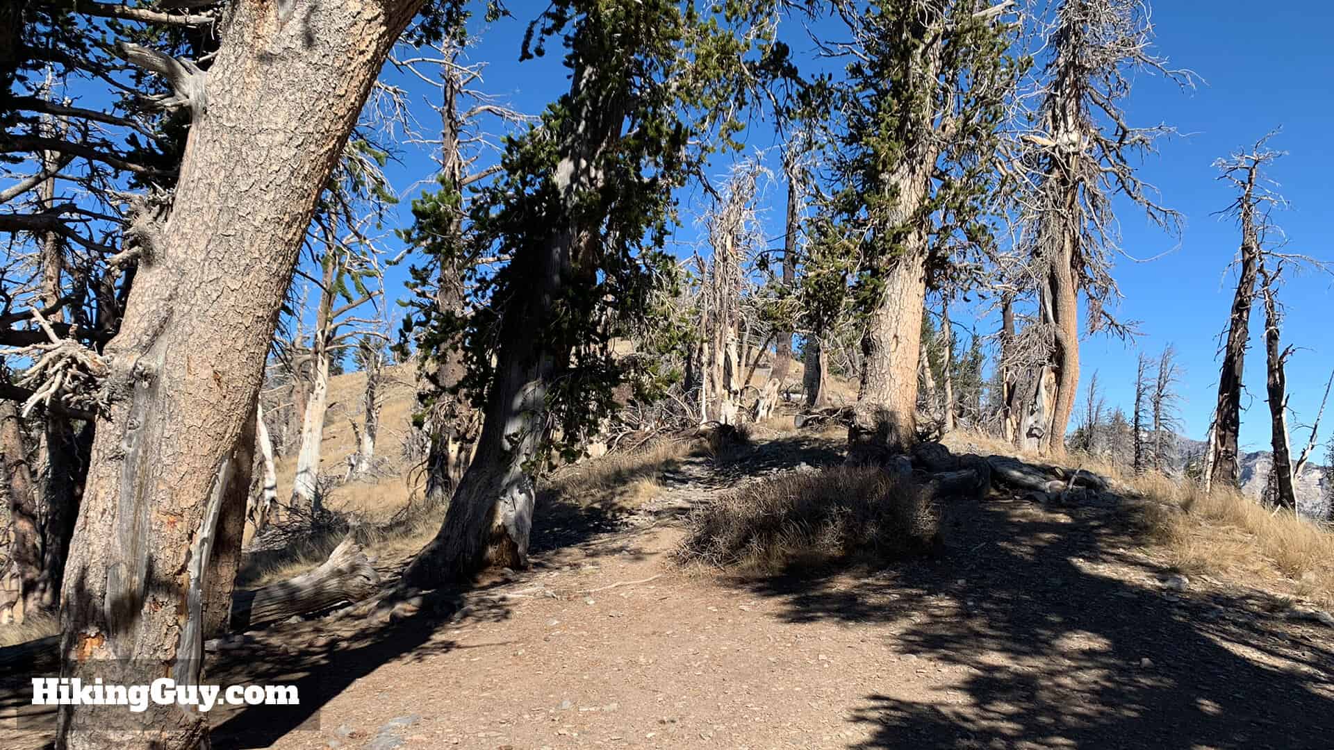 Mt Charleston Peak Hike Directions 25