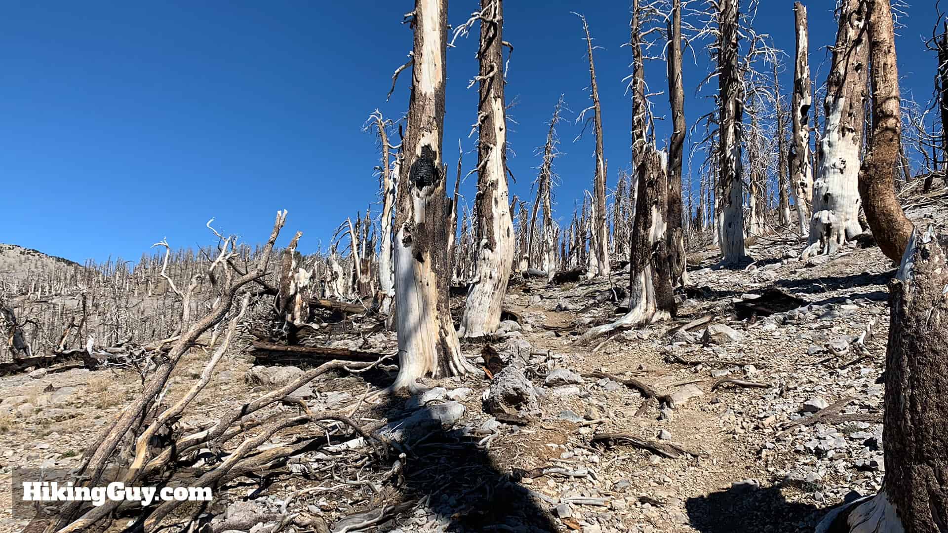 Mt Charleston Peak Hike Directions 29