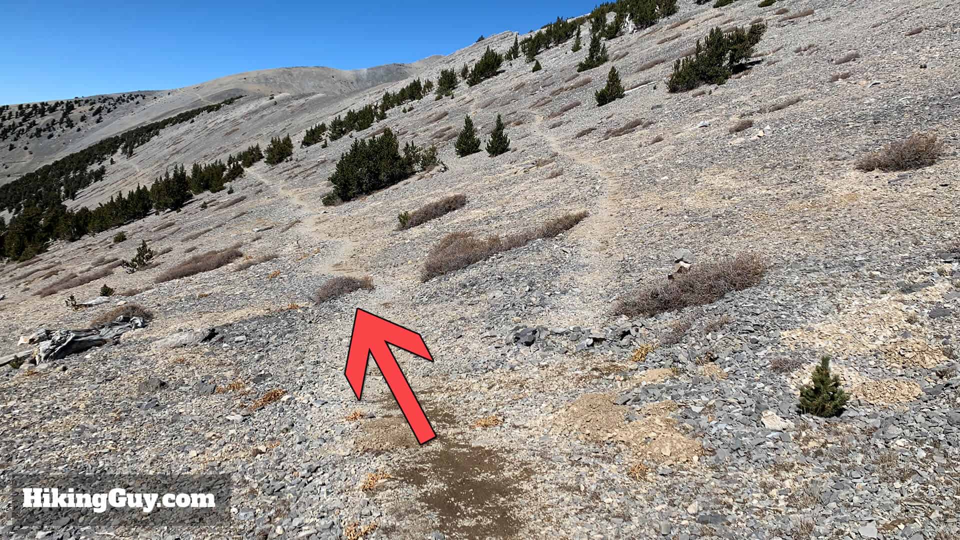 Mt Charleston Peak Hike Directions 35