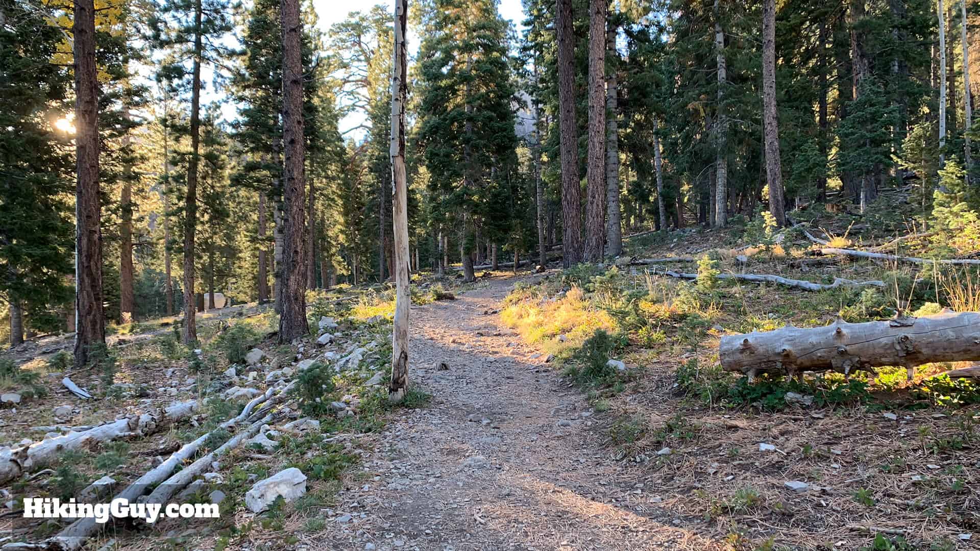 Mt Charleston Peak Hike Directions 7