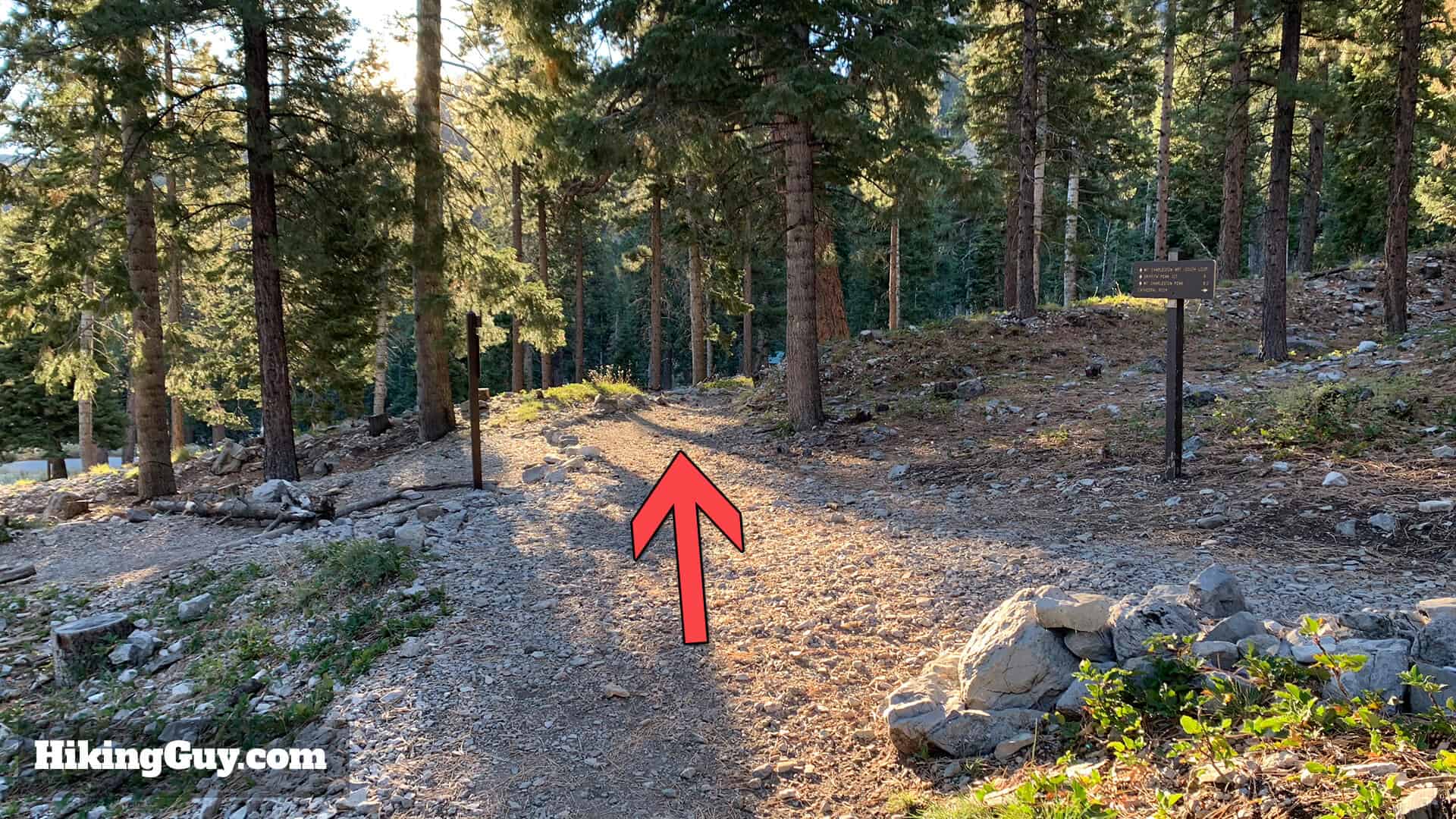 Mt Charleston Peak Hike Directions 8