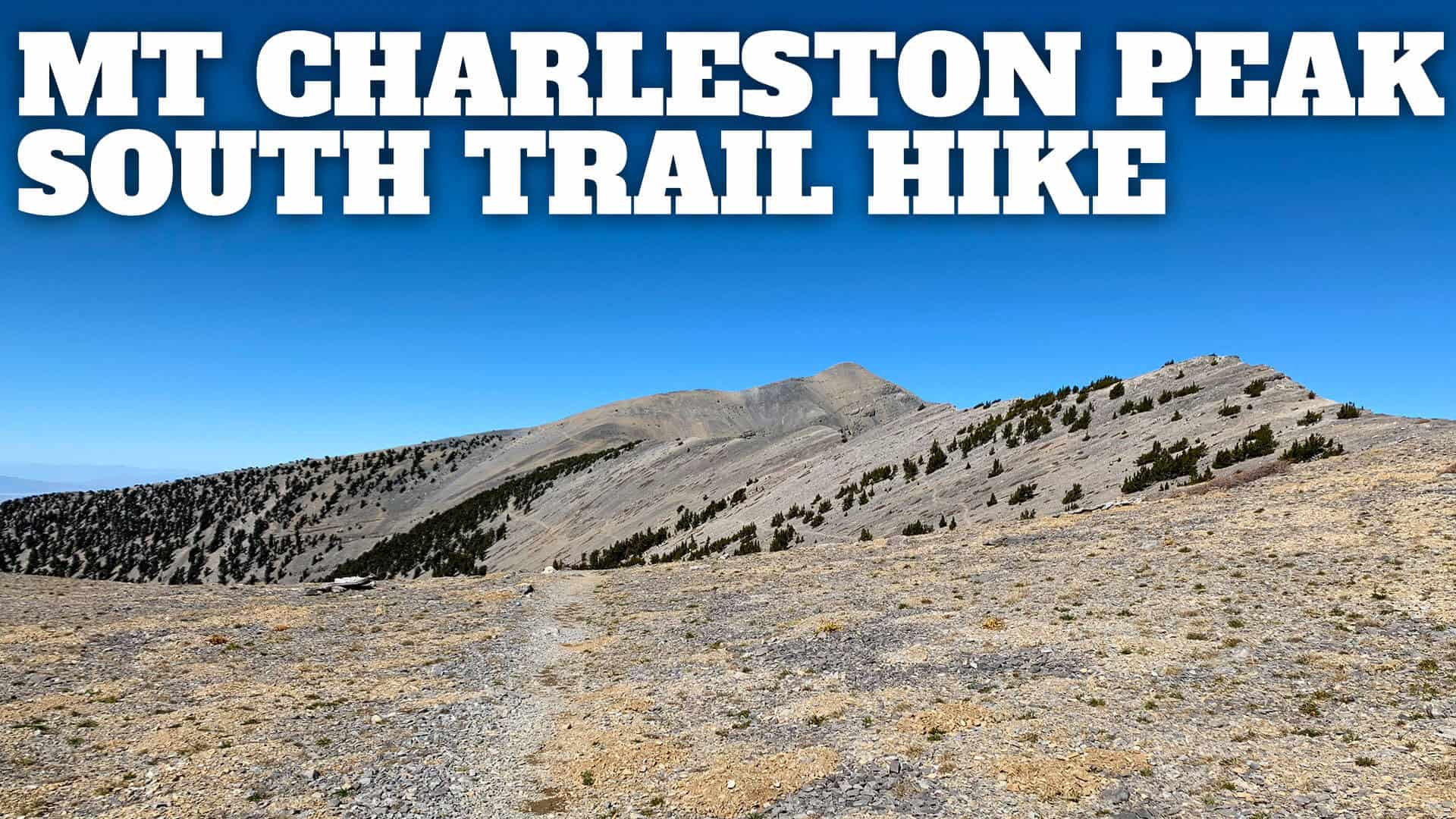 Mt Charleston Peak Hike – South Loop Trail